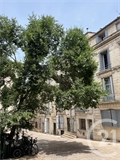 Photo numero 47730386 du bien UBI476310500